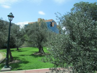 Parcul El Olivar