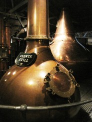 Irlanda, Dublin si brandurile sale:pub-uri, bere Guinness, muzica si dansuri irish live