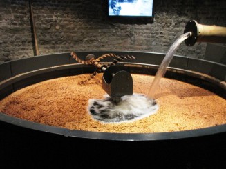 Irlanda, Dublin si brandurile sale:pub-uri, bere Guinness, muzica si dansuri irish live