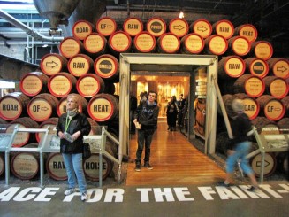 Irlanda, Dublin si brandurile sale:pub-uri, bere Guinness, muzica si dansuri irish live