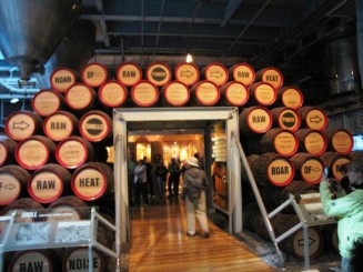 Irlanda, Dublin si brandurile sale:pub-uri, bere Guinness, muzica si dansuri irish live