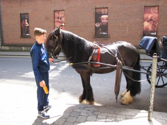 Irlanda, Dublin si brandurile sale:pub-uri, bere Guinness, muzica si dansuri irish live