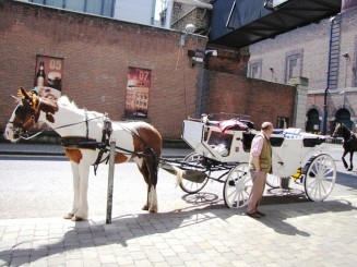 Irlanda, Dublin si brandurile sale:pub-uri, bere Guinness, muzica si dansuri irish live