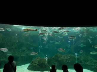 Acvariul din Creta