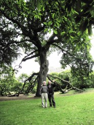 Irlanda, Dublin, Castelul Malahide, exemplu de longevitate pentru o dinastie