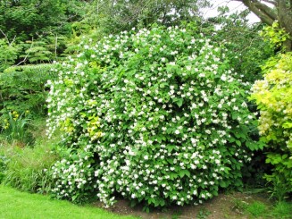 Irlanda, Dublin, Castelul Malahide, exemplu de longevitate pentru o dinastie