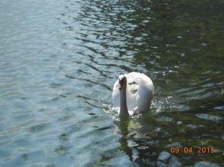 O superba destinatie de vacanta in orice anotimp