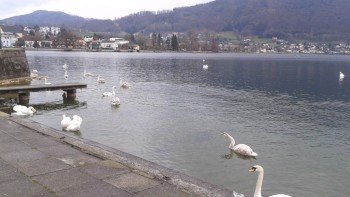 Traunsee la Gmunden