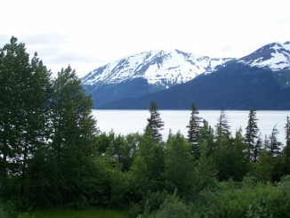 Turnagain arm
