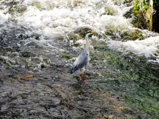 Irlanda, 3 zile in  Galway  si imprejurimi