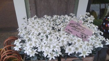 St. Wolfgang- ornamente, aranjamente si suveniruri