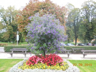 O superba destinatie de vacanta in orice anotimp partea II