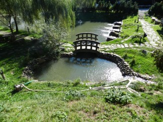 Pastravaria Alex - Happy fish