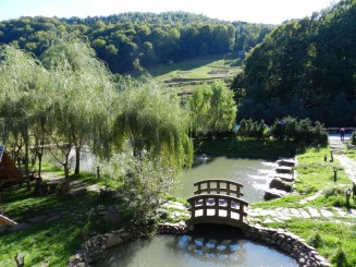 imagini luate din restaurantul principal