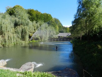 Pastravaria Alex - Happy fish