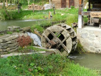 Pastravaria Alex - Happy fish