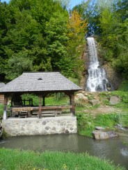 Pastravaria Alex - Happy fish