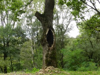 Manastirea Sapanta - Peri