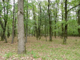 Manastirea Sapanta - Peri