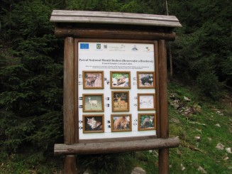 Telescaunul din Statiunea Borsa. Cascada Cailor.