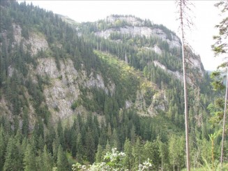 Telescaunul din Statiunea Borsa. Cascada Cailor.