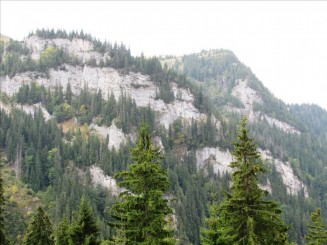 Telescaunul din Statiunea Borsa. Cascada Cailor.