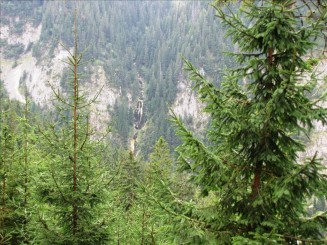 Telescaunul din Statiunea Borsa. Cascada Cailor.