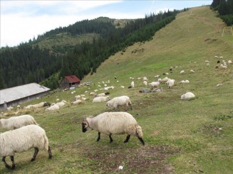 Telescaunul din Statiunea Borsa. Cascada Cailor.
