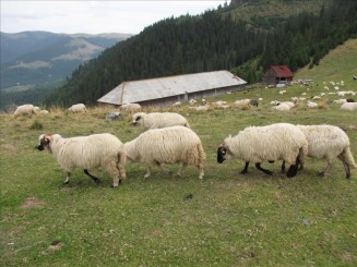 Telescaunul din Statiunea Borsa. Cascada Cailor.
