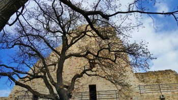 un frumos peisaj din curtea cetatii