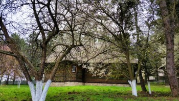 gospodaria Radaseni din zona Falticeni ilustreaza una din ocupatiile de baza si anume pomicultura