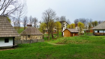 gospodaria Radaseni din zona Falticeni ilustreaza una din ocupatiile de baza si anume pomicultura