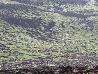 Etna - magnet  pentru dependentii de adrenalina