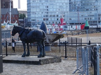 Pe urmele Beatles-ilor