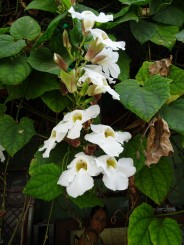 Pe urmele lui Hemingway şi nu numai!!