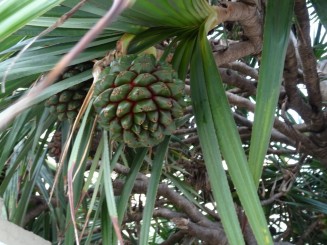 Pe urmele lui Hemingway şi nu numai!!