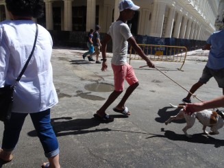 Forfota străzii, oameni, stări şi atitudini