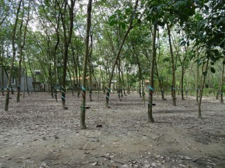 Templu Cao Dai şi Tunelurile Subterane Cu Chi