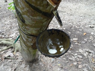 Templu Cao Dai şi Tunelurile Subterane Cu Chi