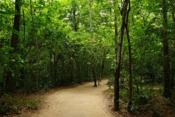 Templu Cao Dai şi Tunelurile Subterane Cu Chi