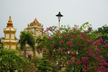 Vinh Trang