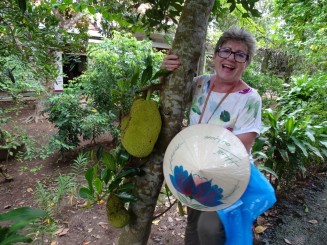 Jack Fruit