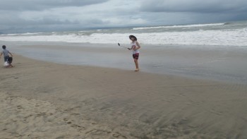 Pe țărmul Pacificului