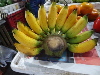 Pe străzile Hoianului