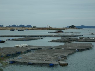 Ha Long Bay - Una din Cele şapte Minuni ale Naturii