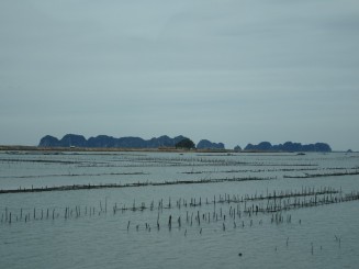 Ha Long Bay - Una din Cele şapte Minuni ale Naturii