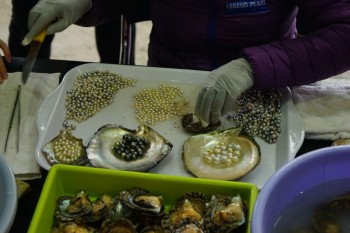 Ha Long Bay - Una din Cele şapte Minuni ale Naturii