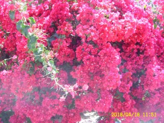 Revenire dupa 5 luni in LARNACA