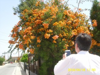 Revenire dupa 5 luni in LARNACA