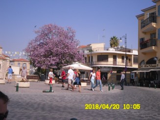 Revenire dupa 5 luni in LARNACA